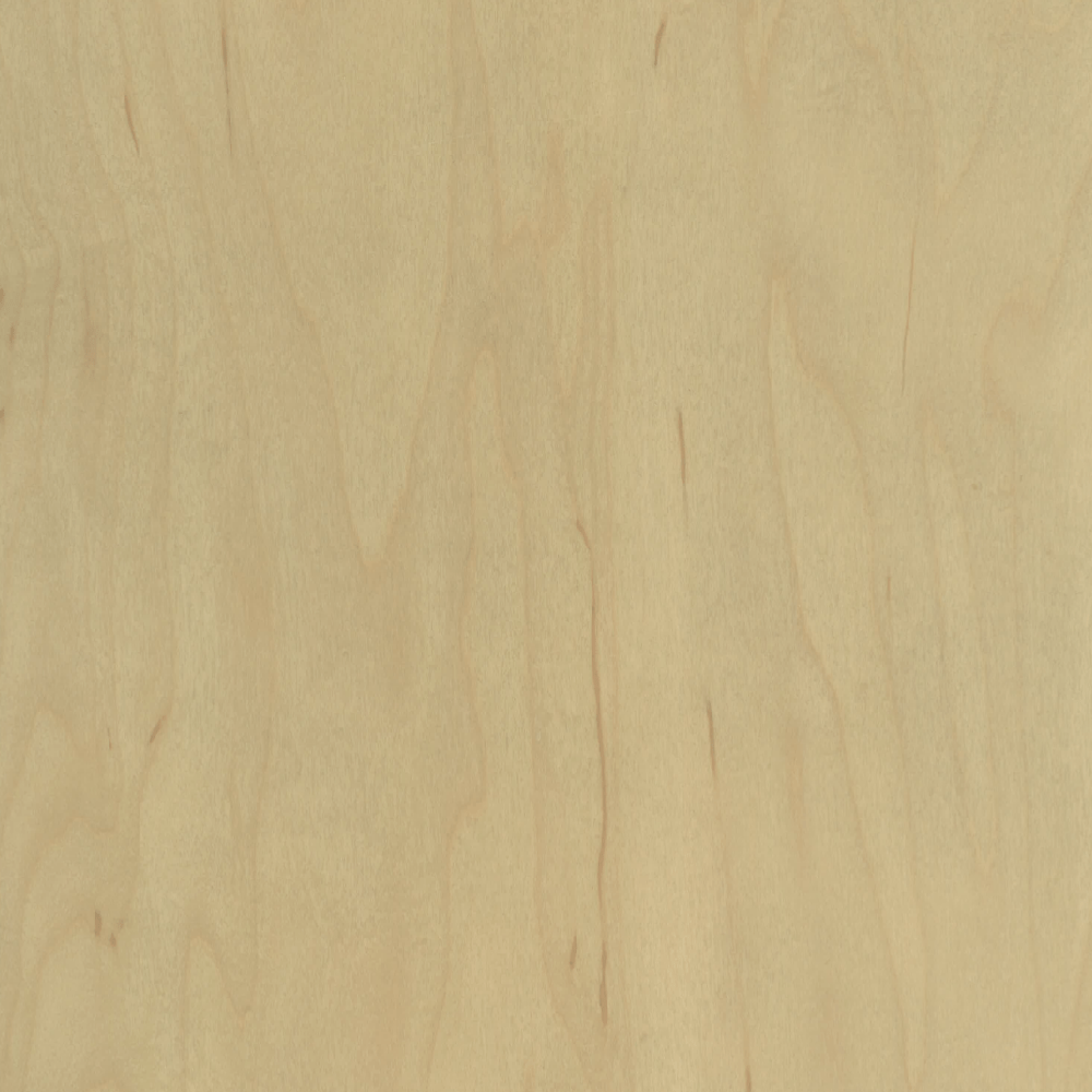 Arizona - Maple Butterscotch