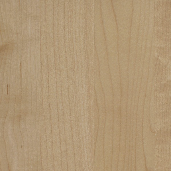 Hawkins Vertical - Coastline